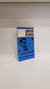 Nos seus olhos de silêncio